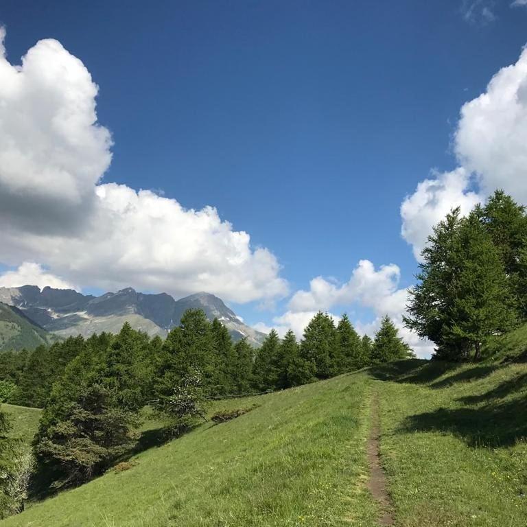 فندق Rifugio Lou Lindal Canosio المظهر الخارجي الصورة
